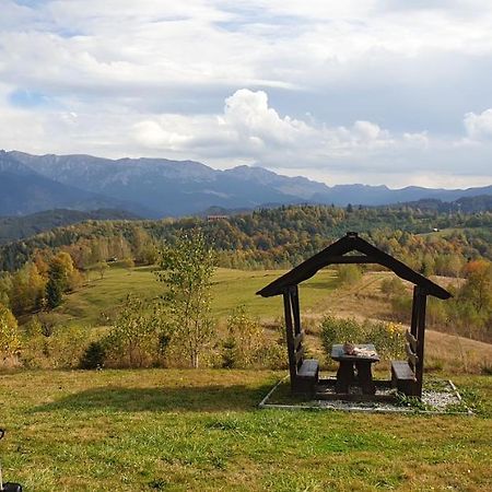 La Odai Bran  Buitenkant foto