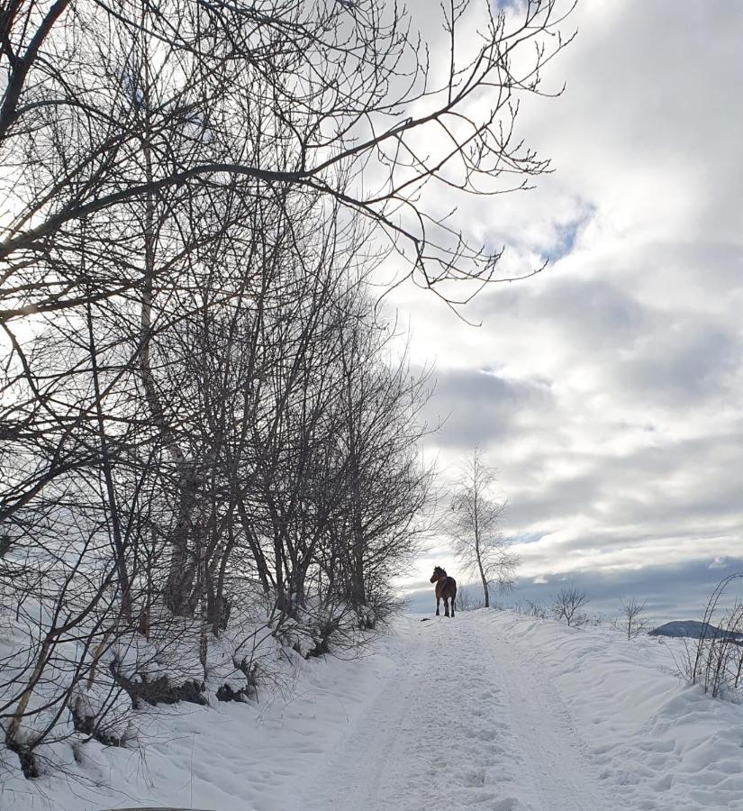 La Odai Bran  Buitenkant foto