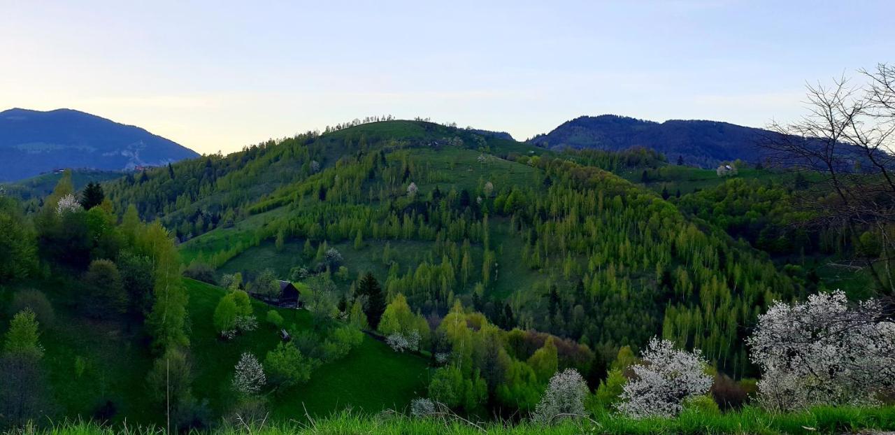 La Odai Bran  Buitenkant foto