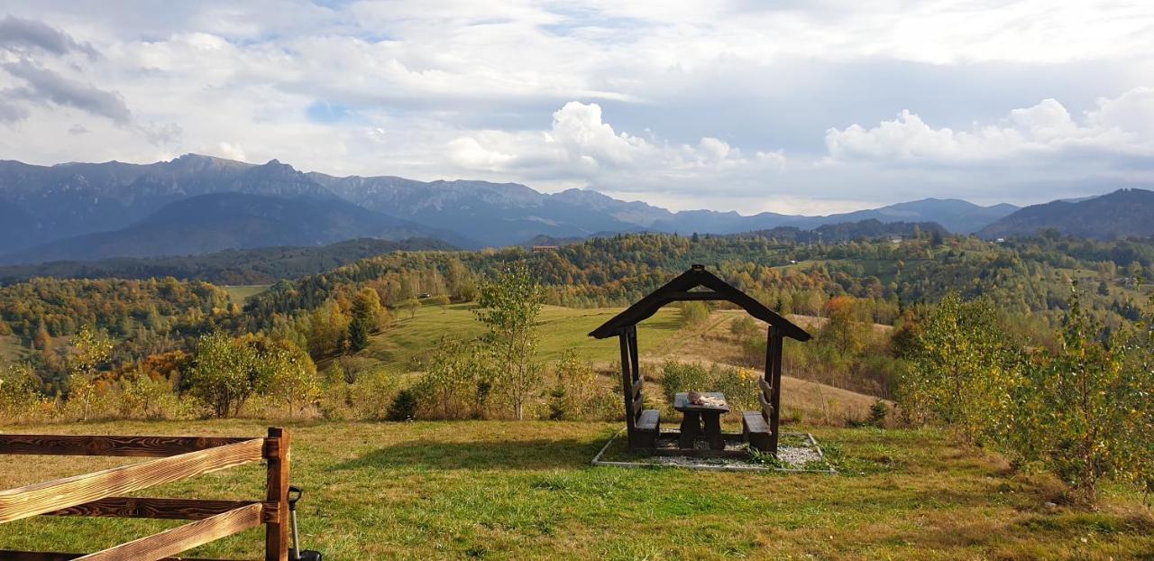 La Odai Bran  Buitenkant foto